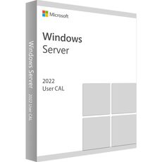 Windows Server 2022 Standard - User CALs, Client Access Licenses: 1 CAL