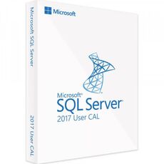 SQL Server 2017 - 5 User CALs, Client Access Licenses: 5 CALs