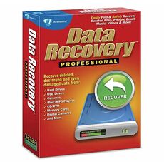 Data Recovery Professionnel