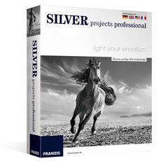 Silver projects professionnel, Versions: Windows 