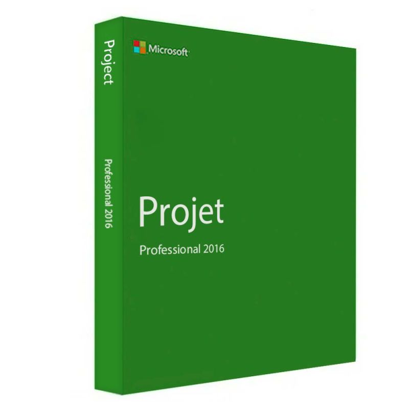 Project Professionnel 2016